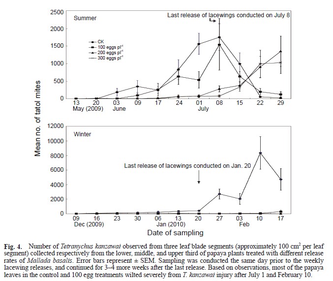 Number of Tetranychus kanzawai observed from three leaf blade segments (approximately 100 cm2 per leaf segment) collected respectively from the lower, middle, and upper third of papaya plants treated with different release rates of Mallada basalis. Error bars represent ± SEM. Sampling was conducted the same day prior to the weekly lacewing releases, and continued for 3–4 more weeks after the last release. Based on observations, most of the papaya leaves in the control and 100 egg treatments wilted severely from T. kanzawai injury after July 1 and February 10.